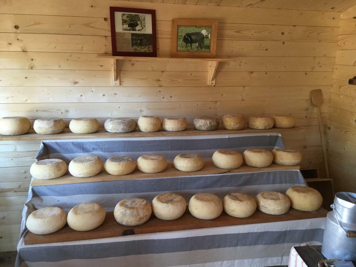 Maison De Campagne Sarragia المظهر الخارجي الصورة